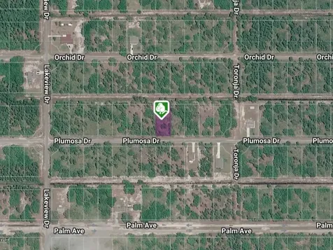 Tbd Plumosa Drive Indian Lake Estates FL
