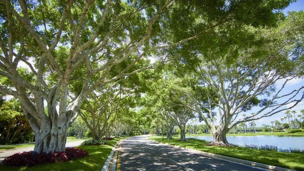 8167 Quail Meadow Way West Palm Beach FL 33412