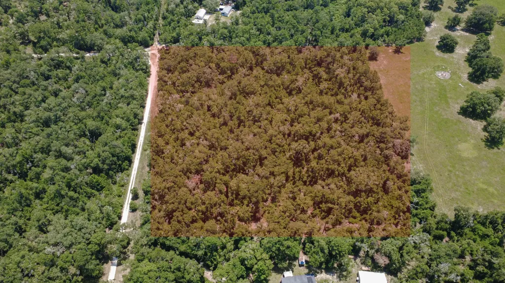 6600 150th Place Wellborn FL 32094
