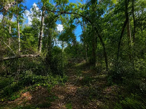 6600 150th Place Wellborn FL 32094