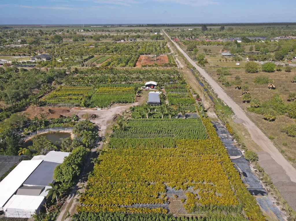 6747 Carol Street Loxahatchee FL 33470