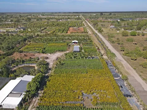 6747 Carol Street Loxahatchee FL 33470