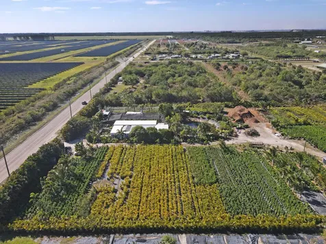 6747 Carol Street Loxahatchee FL 33470