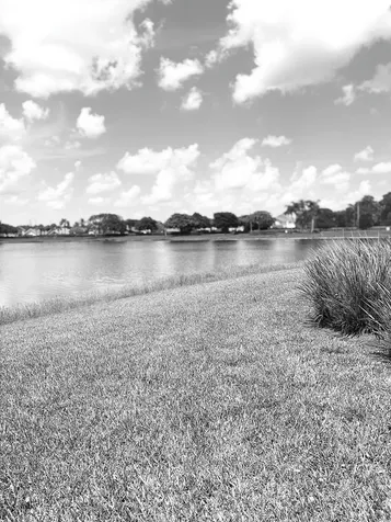702 NW 208th Terrace Pembroke Pines FL 33029
