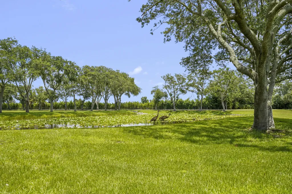 16451 Norris Road Wellington FL 33470