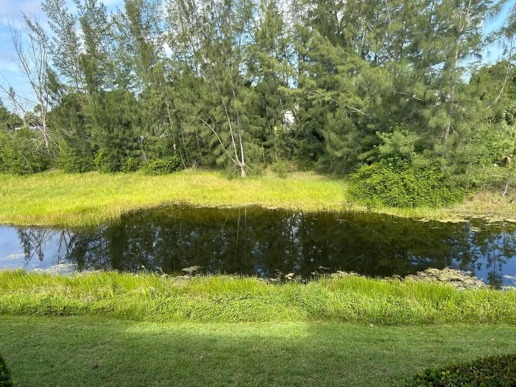 1169 Golden Lakes Boulevard West Palm Beach FL 33411