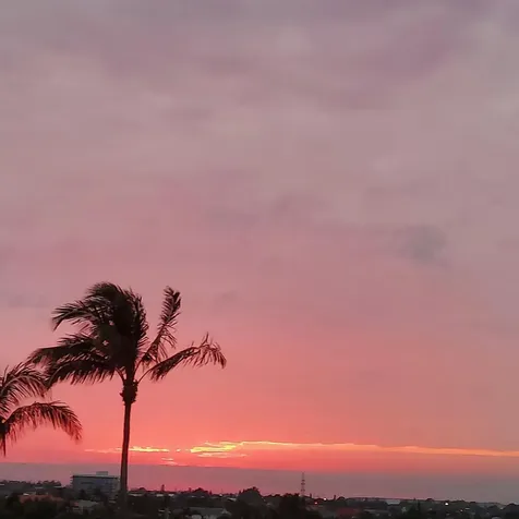 4000 N Ocean Drive Singer Island FL 33404