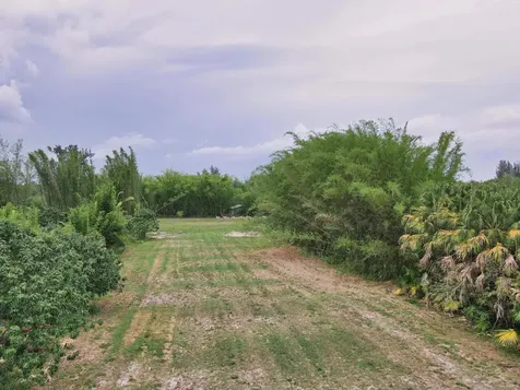 2105 Jewel Lane Loxahatchee Groves FL 33470