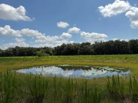 16477 NW 192nd Street Okeechobee FL 34972