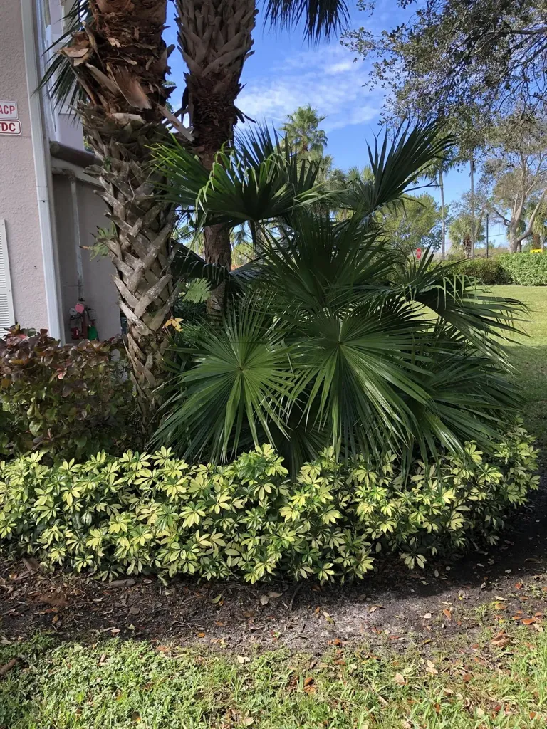 3023 Alcazar Place Palm Beach Gardens FL 33410