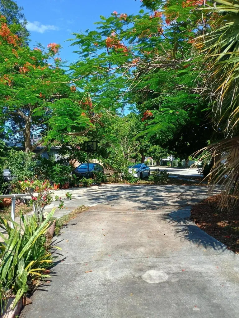831 N Forest Hill Boulevard West Palm Beach FL 33405