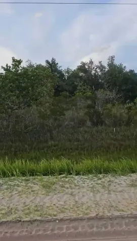 15775 NW 304th Street Okeechobee FL 34972