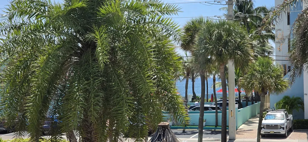 4228 N Ocean Drive Lauderdale By The Sea FL 33308
