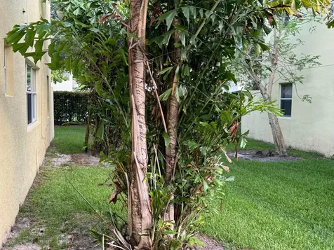 1191 Imperial Lake Road West Palm Beach FL 33413