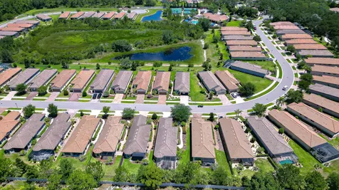8433 Alberata Vista Drive Tampa FL 33647