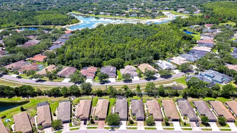 8433 Alberata Vista Drive Tampa FL 33647