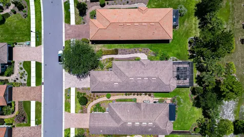 8433 Alberata Vista Drive Tampa FL 33647