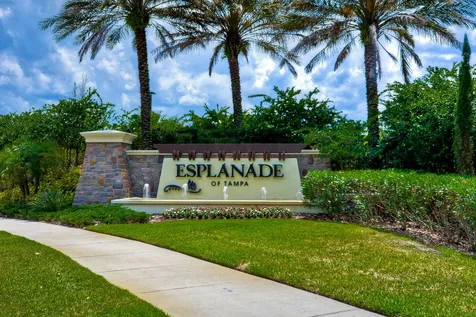 8433 Alberata Vista Drive Tampa FL 33647