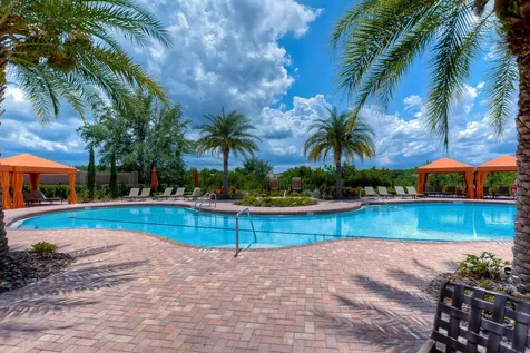 8433 Alberata Vista Drive Tampa FL 33647