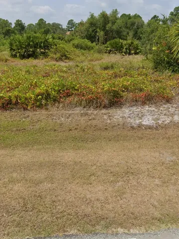 1995 Clam Drive Sebring FL 33870