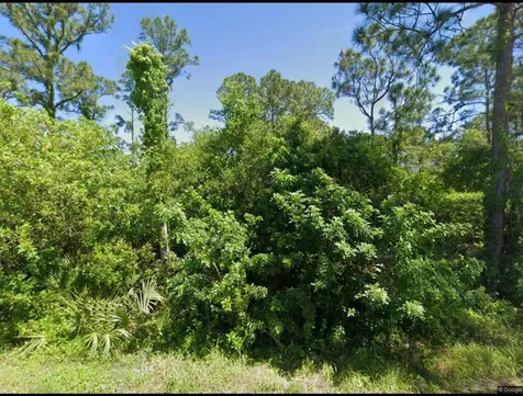 111 Suwannee Lane Lake Placid FL 33852
