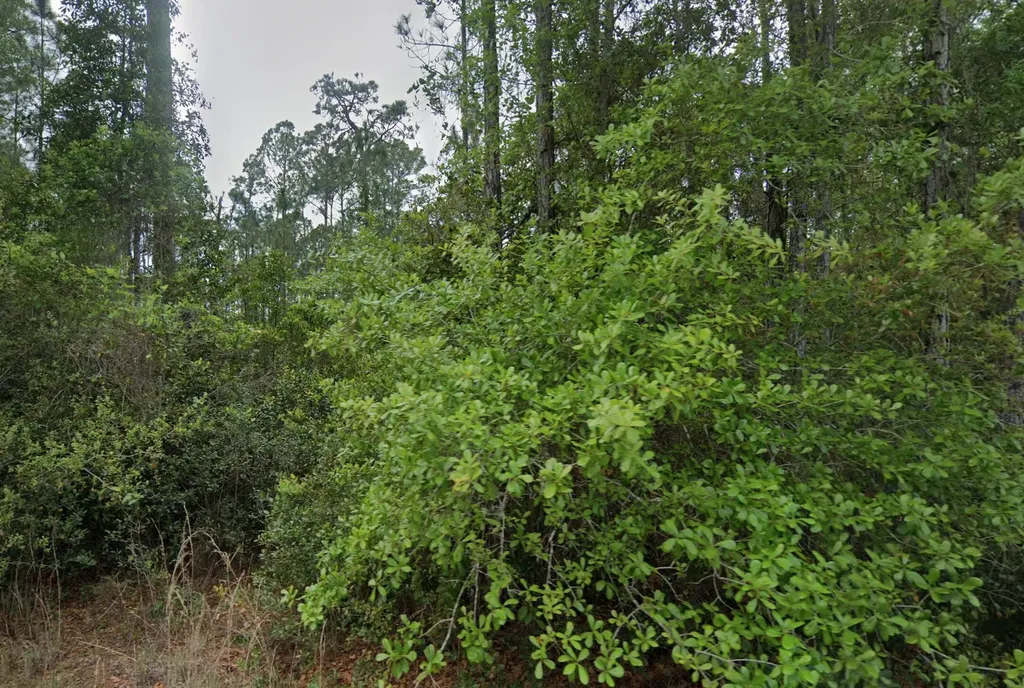 107 Glenside Street Georgetown FL 32139