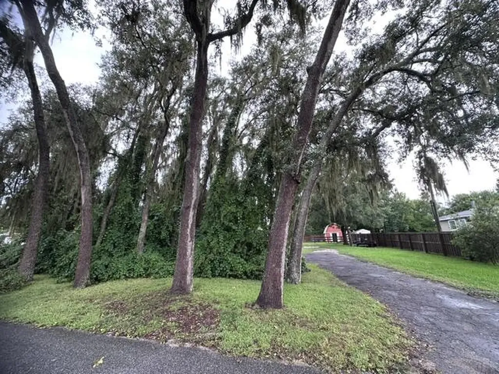 444 Quail Street Lady Lake FL 32159