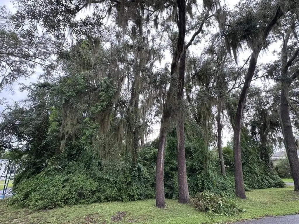 444 Quail Street Lady Lake FL 32159