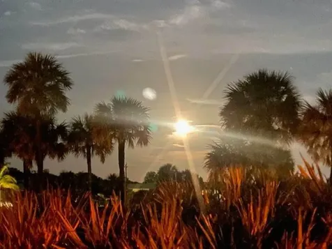 1903 Robalo Drive Vero Beach FL 32960