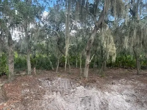 0 Old Stokes Road Frostproof FL 33843