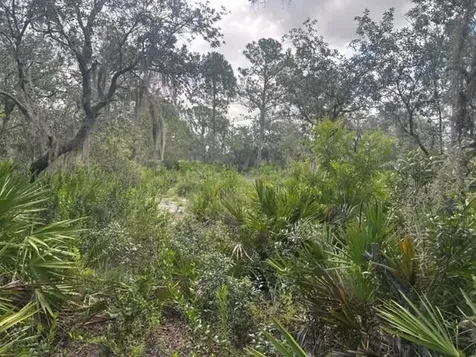 0 Old Stokes Road Frostproof FL 33843