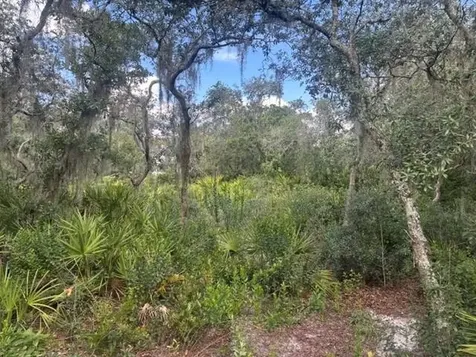 0 Old Stokes Road Frostproof FL 33843