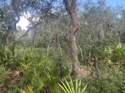 0 Old Stokes Road Frostproof FL 33843