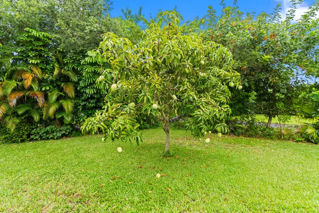 22829 Horse Shoe Way Boca Raton FL 33428