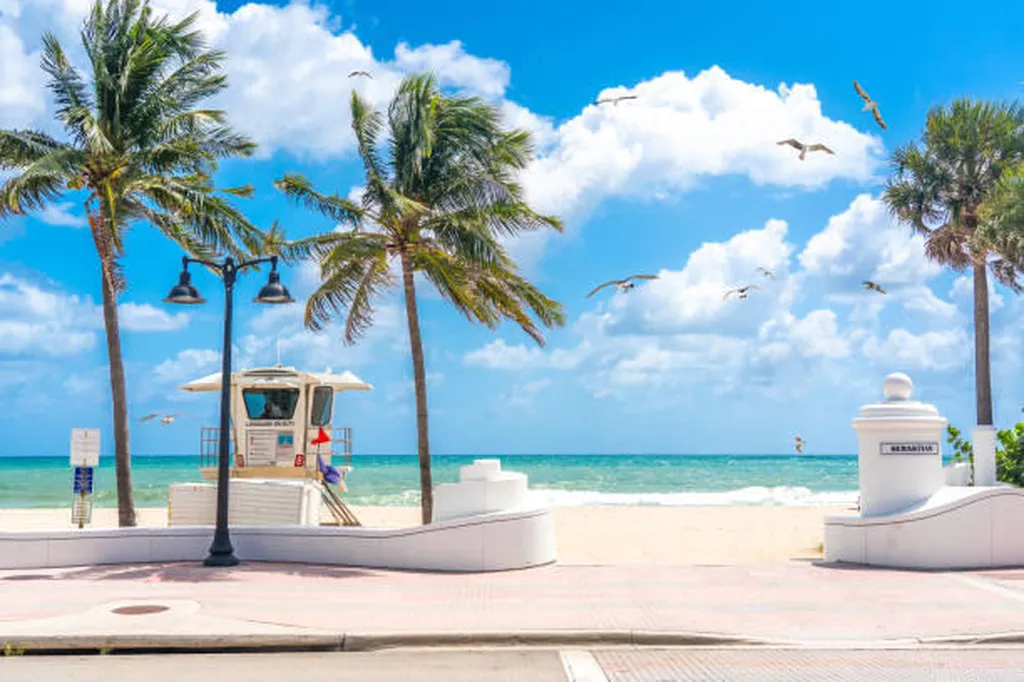 3181 NW 66th Street Fort Lauderdale FL 33309