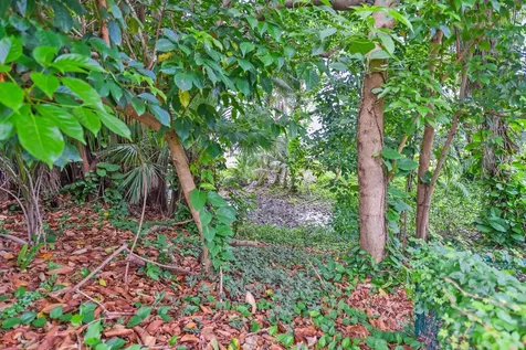 91 SW 11th Avenue Boca Raton FL 33486