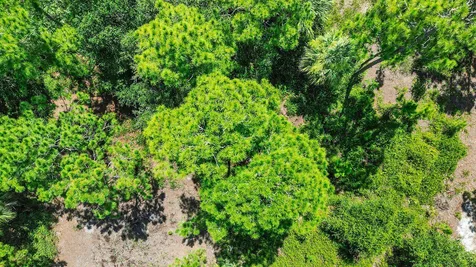 220 N Sendero Street Clewiston FL 33440