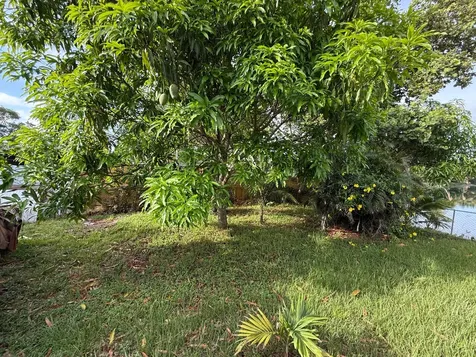 124 NW 45th Avenue Plantation FL 33317