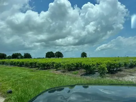 4450 Walker Lake Road Winter Haven FL 33880