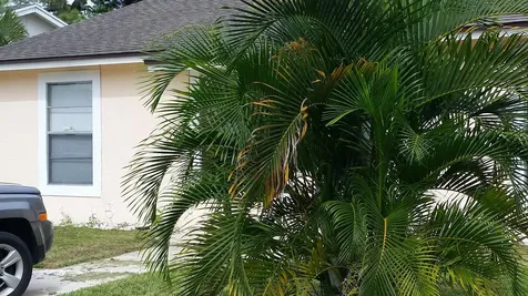 460 Fleming Avenue Greenacres FL 33467