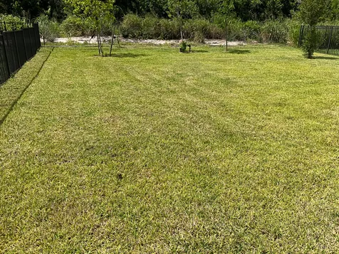 456 Cherimoya Street Fort Pierce FL 34981