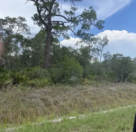 1002 Archie Summers Road Lake Placid FL 33852