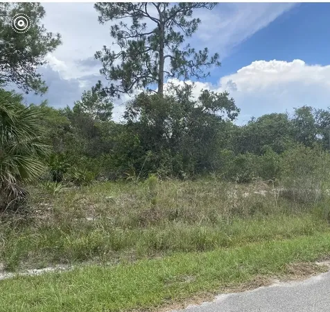 1010 Archie Summers Road Lake Placid FL 33852