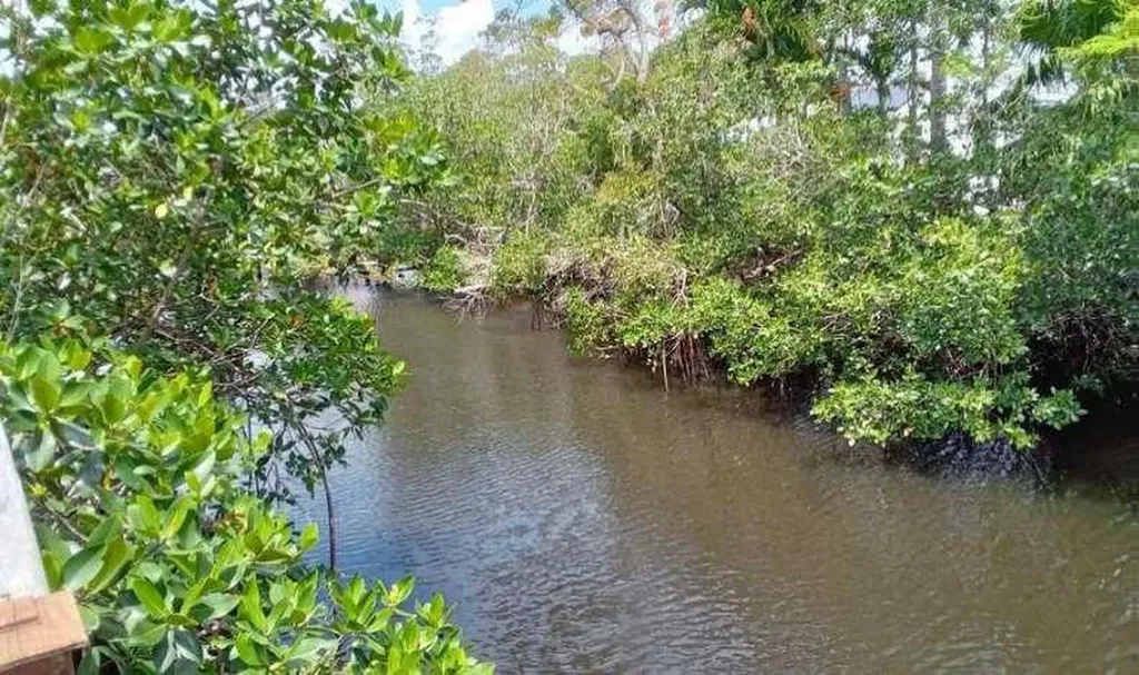 596 Greenwood Drive Jupiter FL 33458