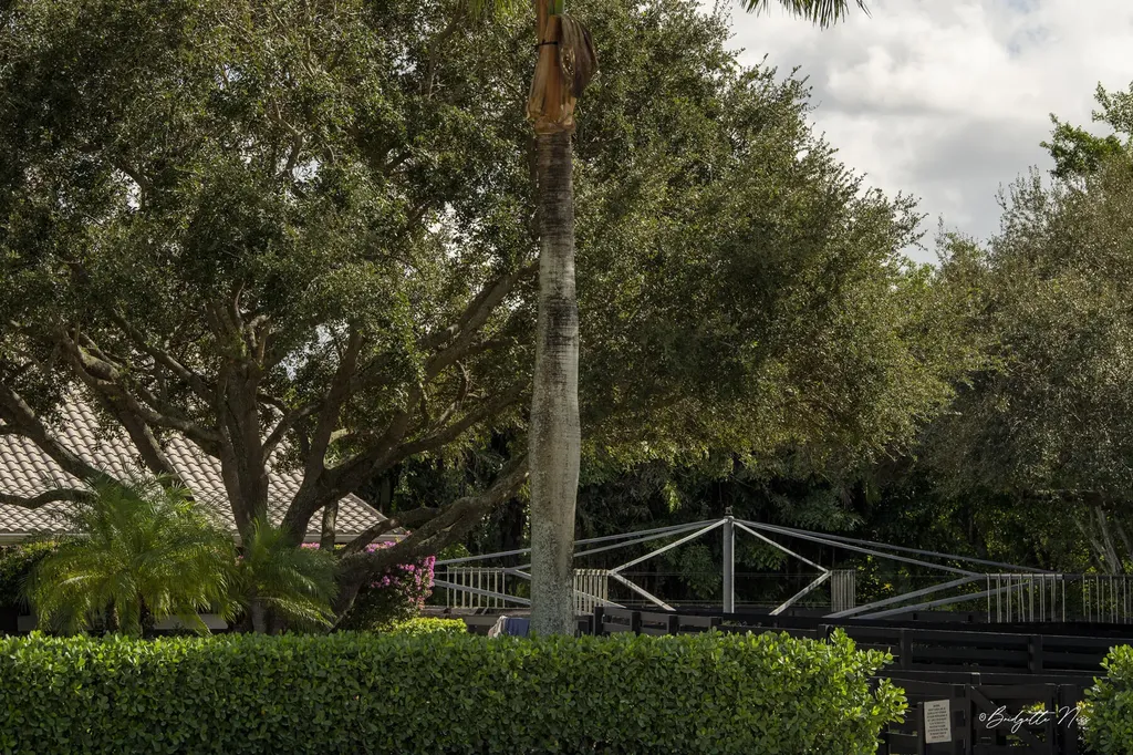 2440 Appaloosa Trail Wellington FL 33414