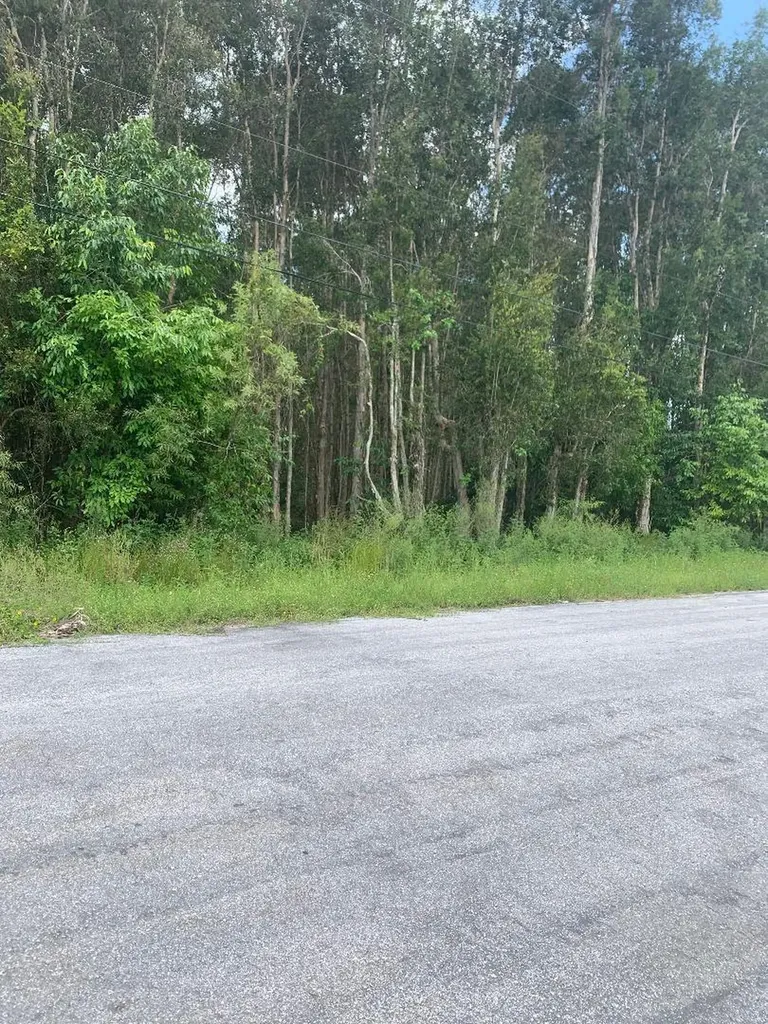 0000 87th Street N The Acreage FL 33412