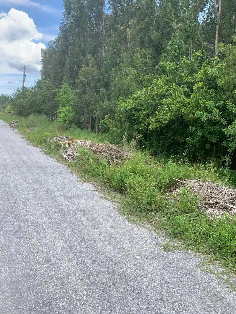 0000 87th Street N The Acreage FL 33412