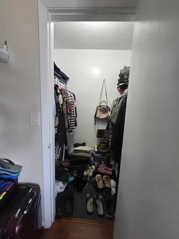 5204 Bayside Drive Greenacres FL 33463