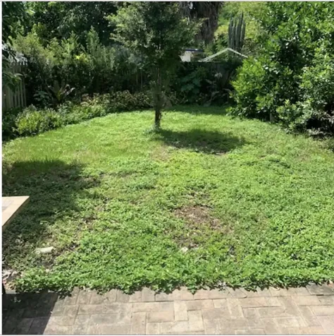 2221 NW 64th Avenue Sunrise FL 33313
