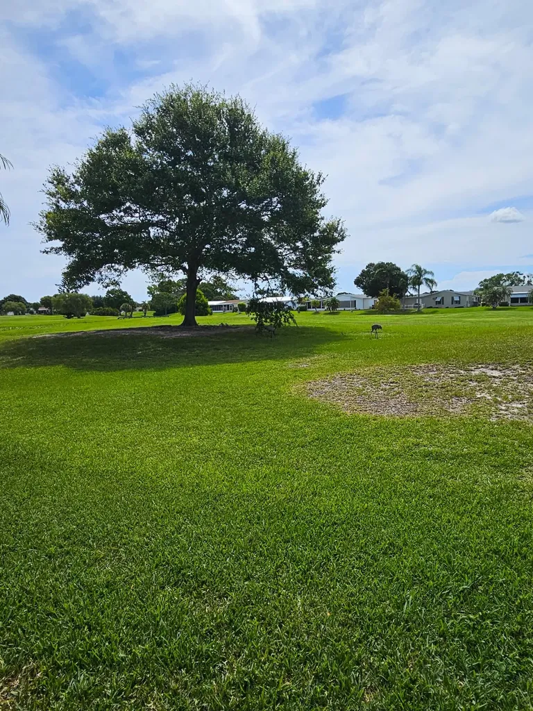 3229 Scarlet Tanager Court Port St Lucie FL 34952